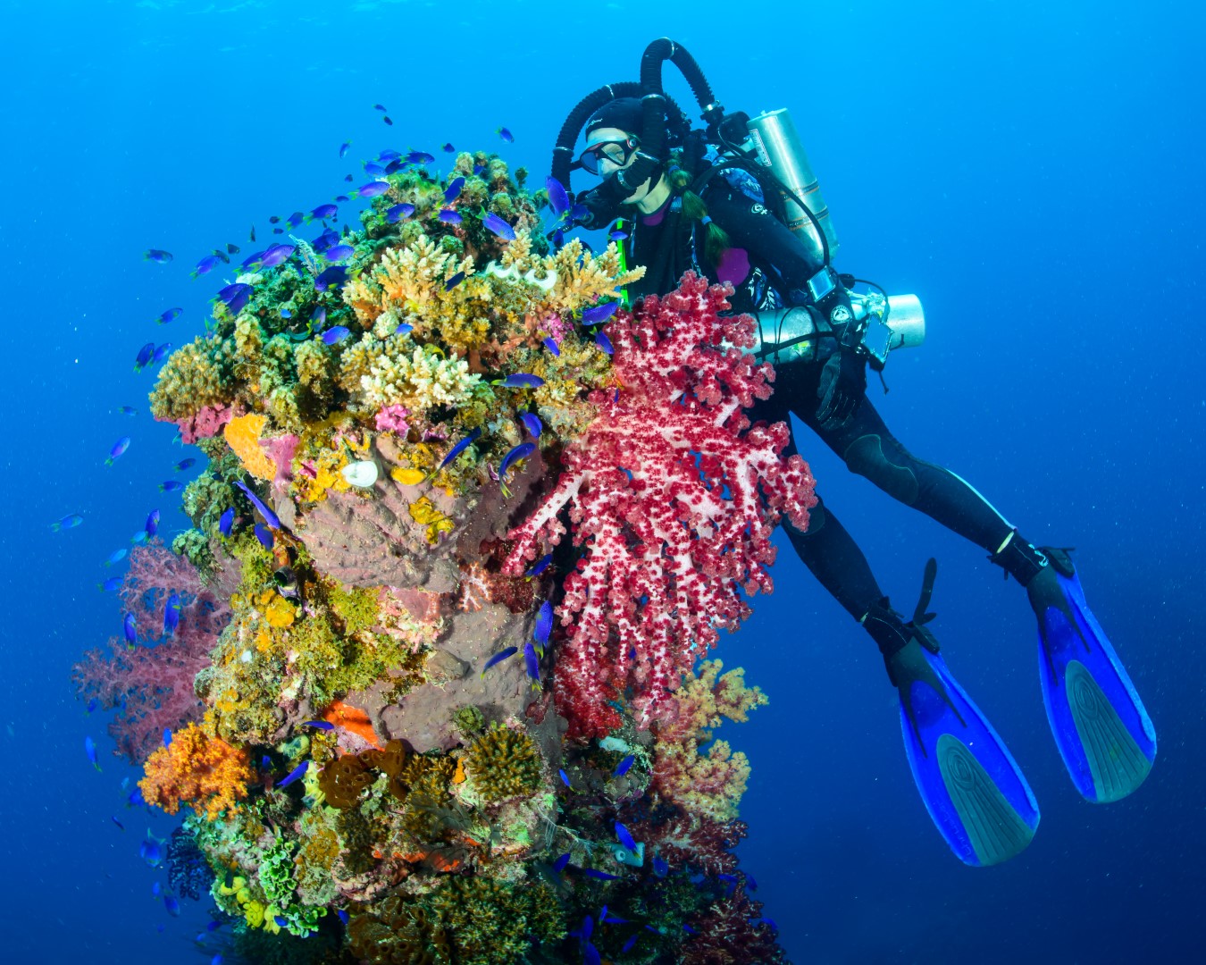 Chuuk Mar 5 2013 (38 of 40) (Large)