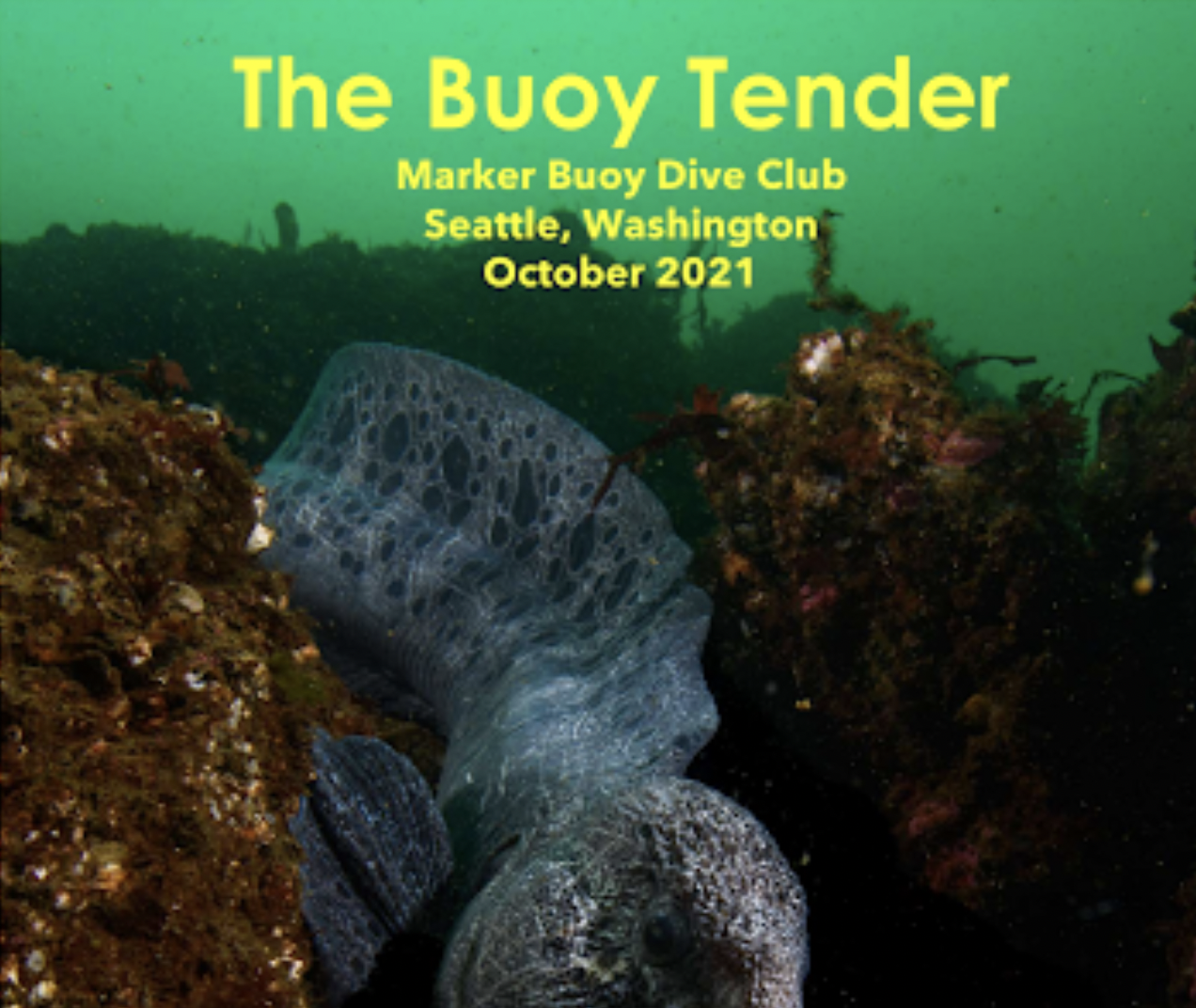 Screen Shot 2021-11-26 at 10.12.09 PM