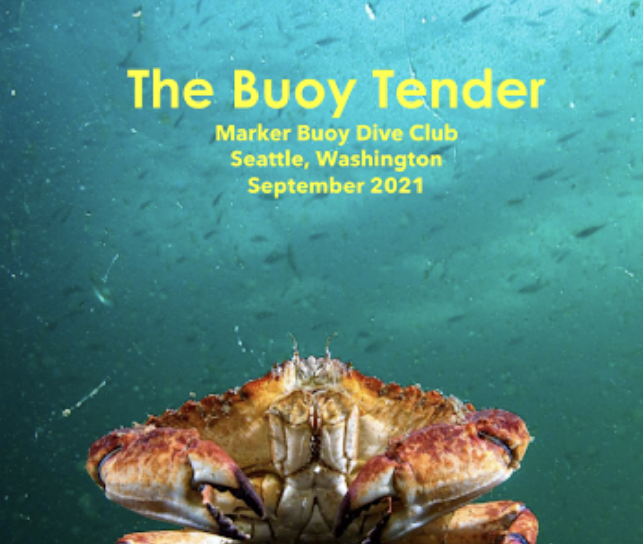 Screen Shot 2021-11-26 at 10.12.24 PM