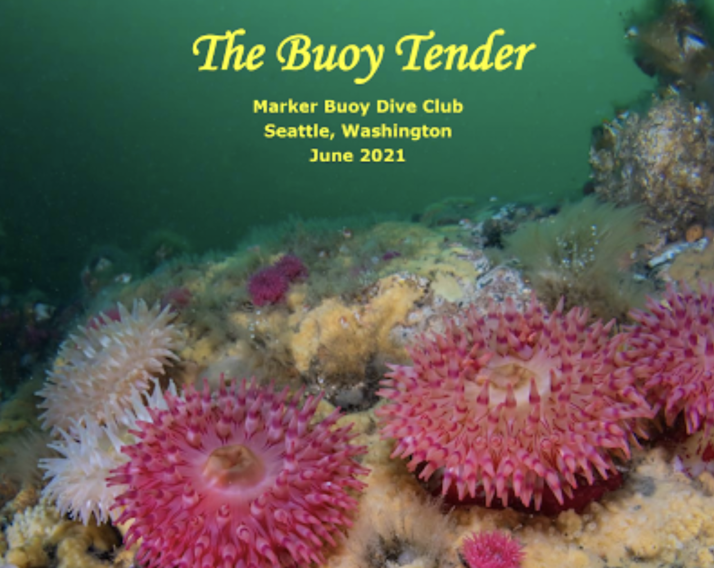 Screen Shot 2021-11-26 at 10.13.00 PM