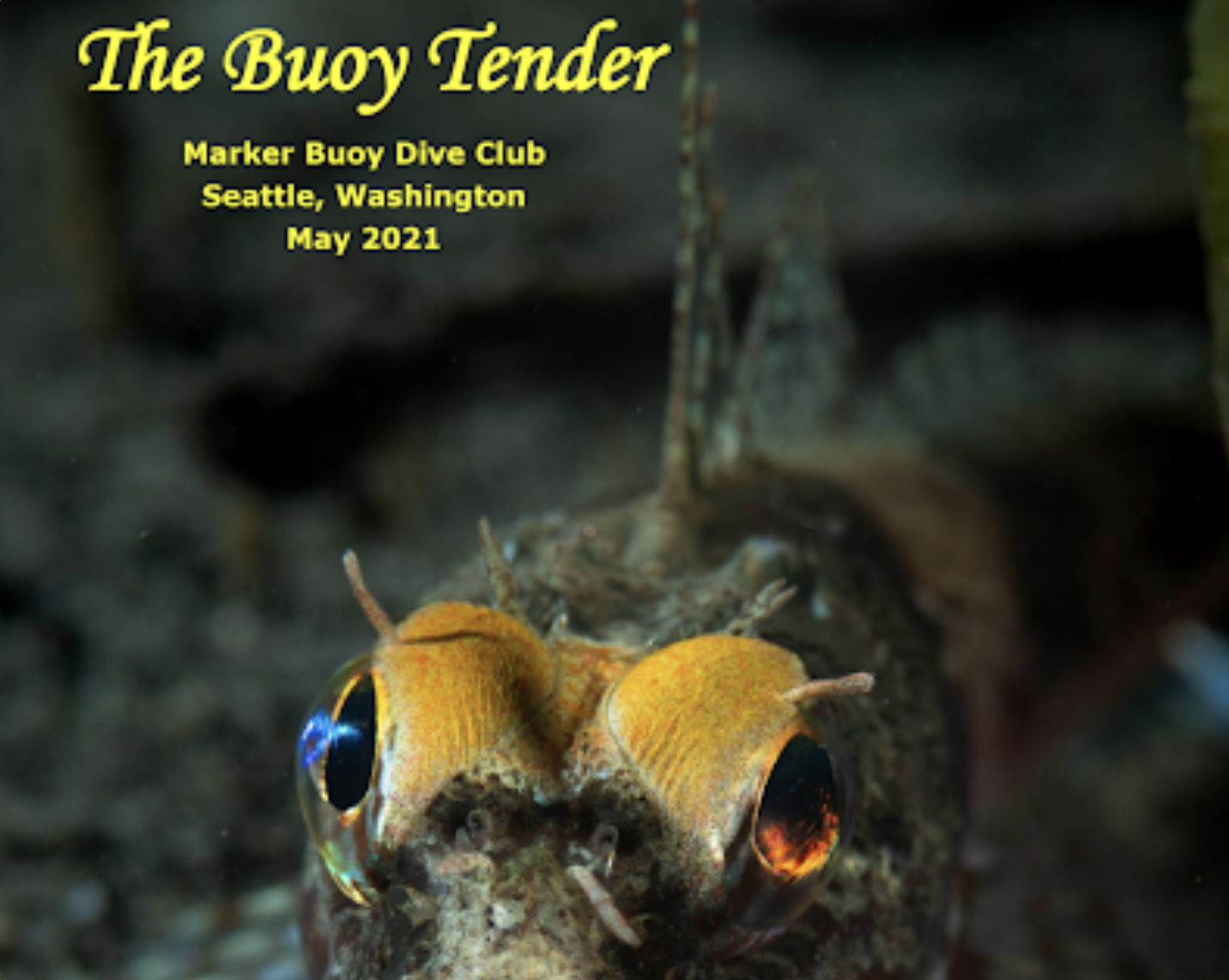 Screen Shot 2021-11-26 at 10.13.28 PM