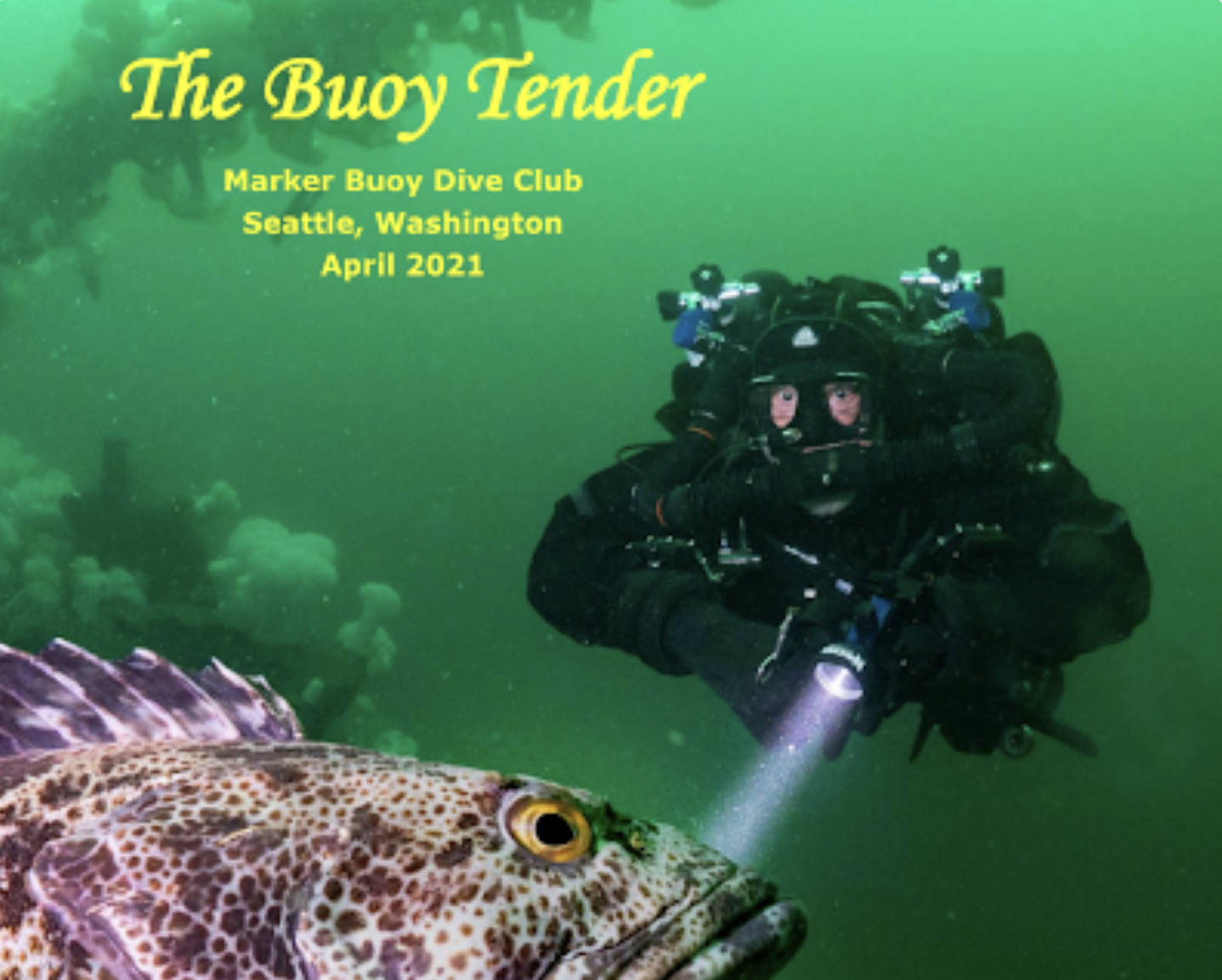 Screen Shot 2021-11-26 at 10.13.47 PM