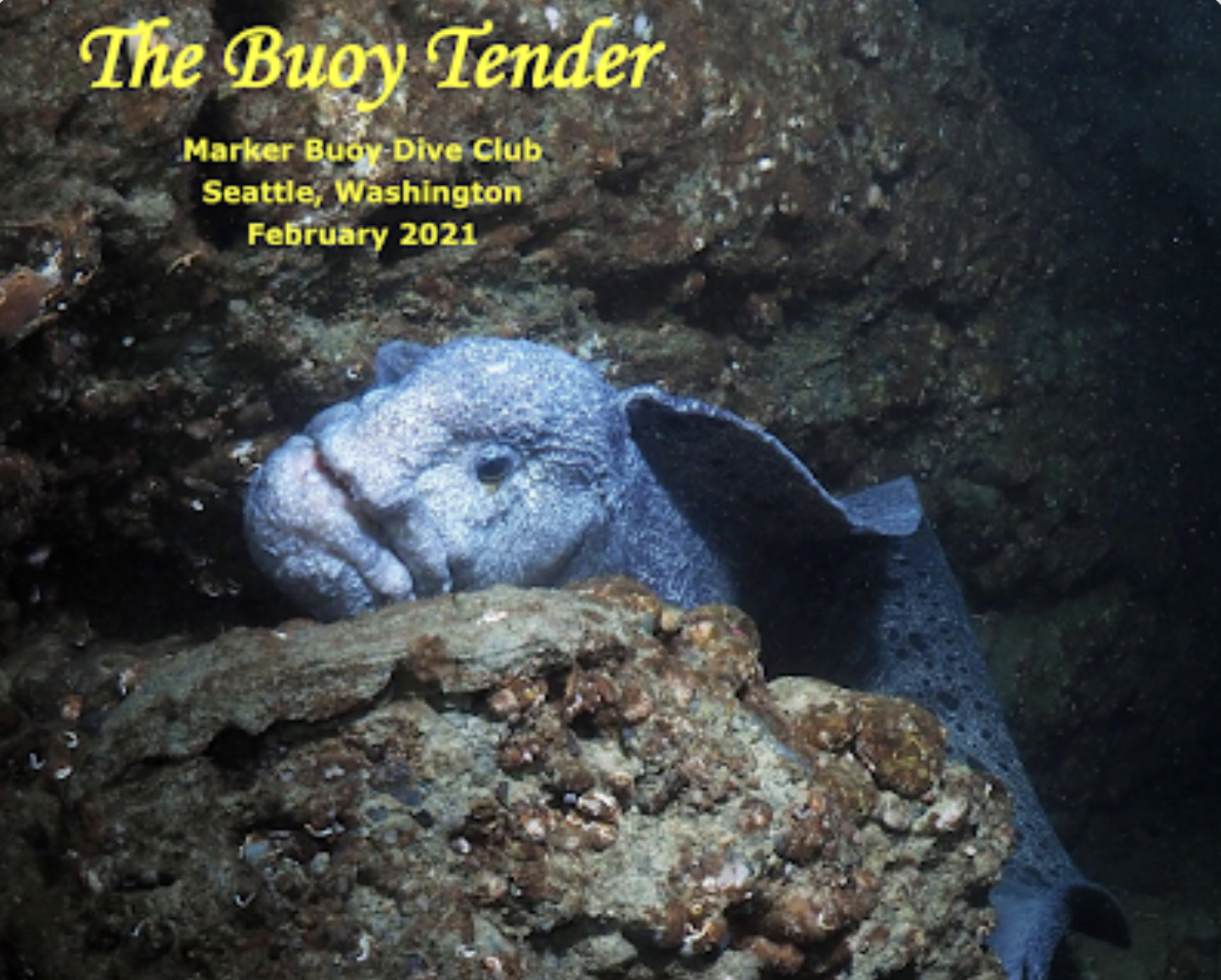 Screen Shot 2021-11-26 at 10.14.33 PM