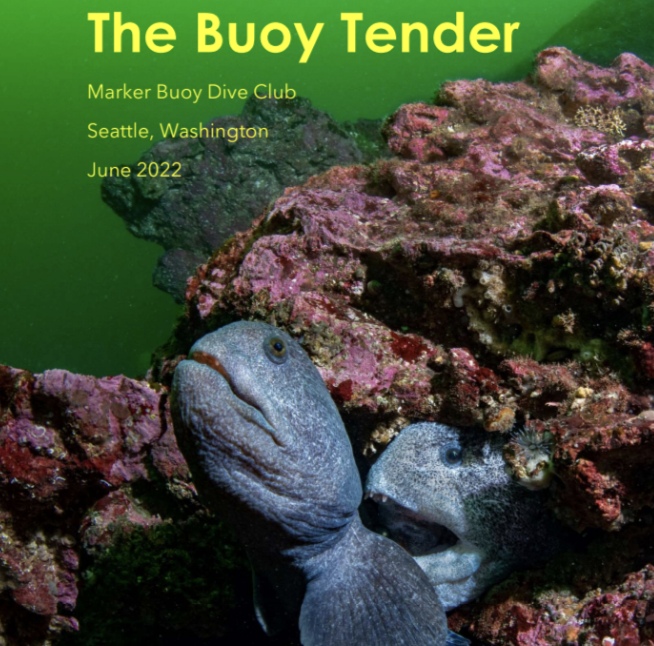 Screen Shot 2022-07-18 at 9.05.53 PM