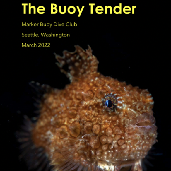 Screen Shot 2022-07-18 at 9.36.07 PM