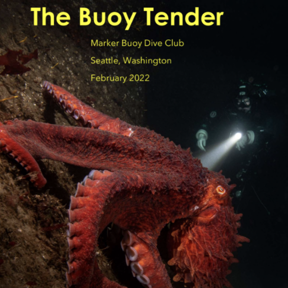 Screen Shot 2022-07-18 at 9.36.36 PM