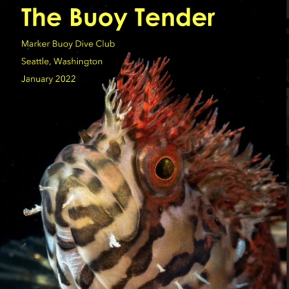 Screen Shot 2022-07-18 at 9.36.53 PM