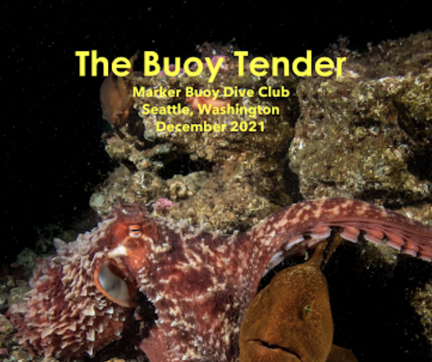 Screen Shot 2022-07-18 at 9.41.49 PM