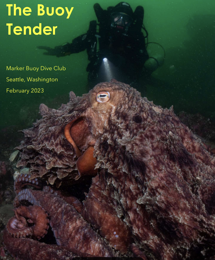 Screenshot 2023-05-31 at 9.40.58 AM