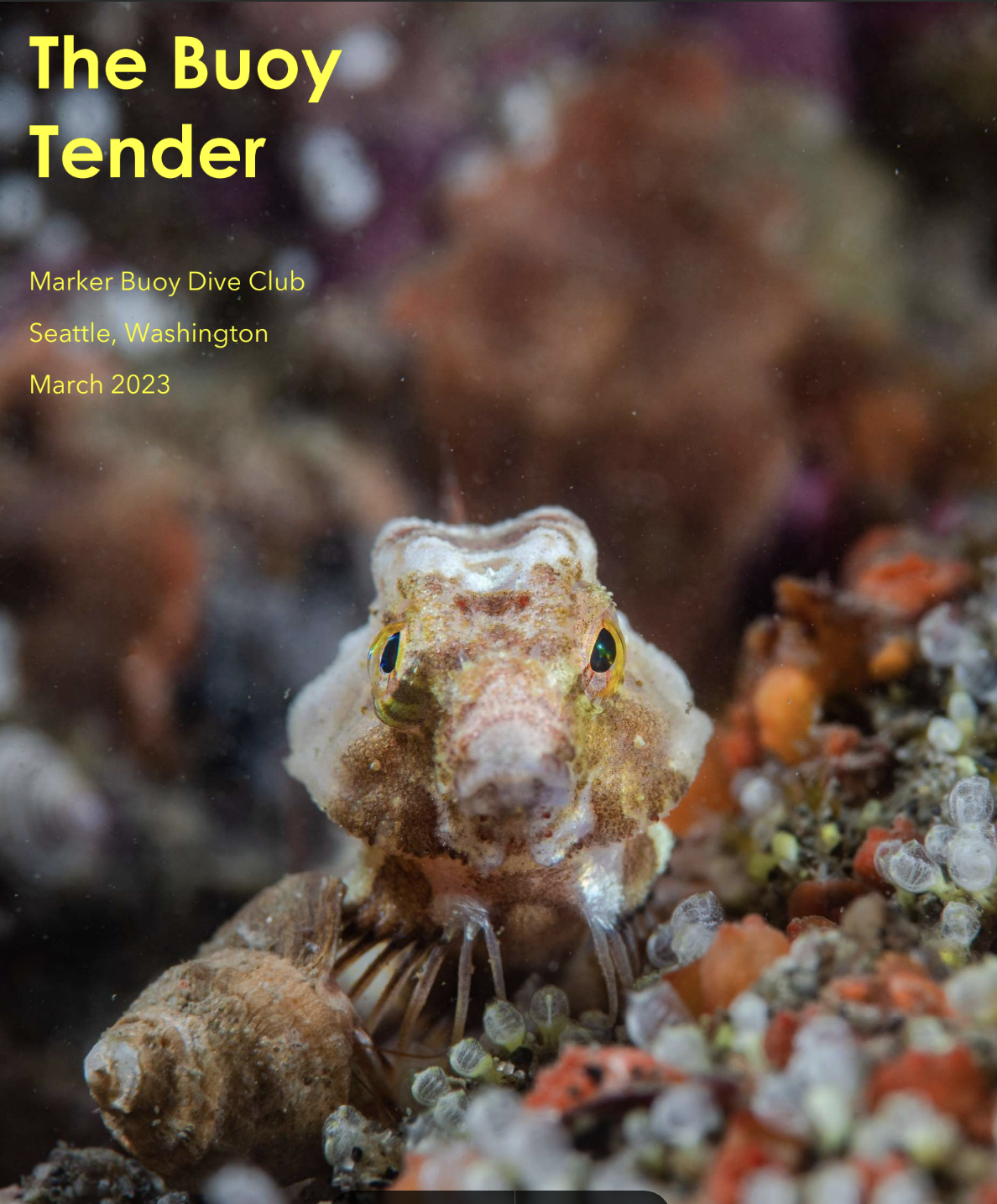 Screenshot 2023-05-31 at 9.47.54 AM