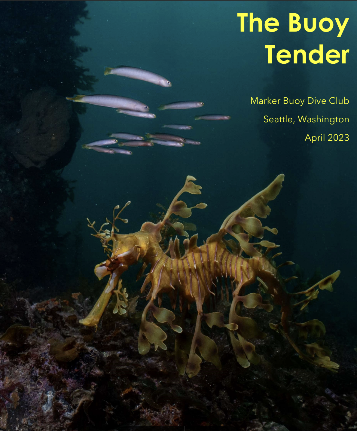 Screenshot 2023-05-31 at 9.51.40 AM