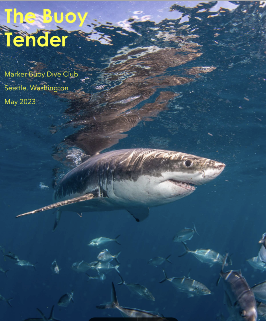 Screenshot 2023-05-31 at 9.54.32 AM